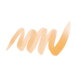 Royal Talens Ecoline Brush Marker - Apricot swatch