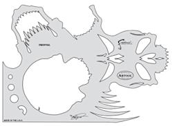 Skull Master The Frontal Template