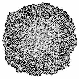 Texture FX Freehand Template - Second of Three Standard size Templates in a Set