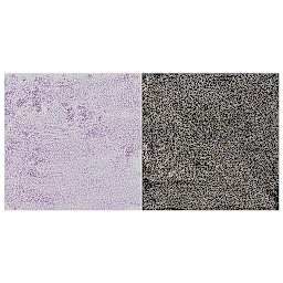 Jacquard Pearl-Ex Pigment - Duo Violet-Brass swatch