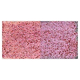 Jacquard Pearl-Ex Pigment - Blue Russet swatch