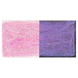 Jacquard Pearl-Ex Pigment - Duo Red-Blue swatch