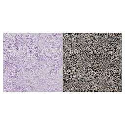 Jacquard Pearl-Ex Pigment - Duo Violet-Brass swatch