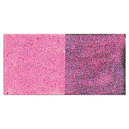Jacquard Pearl-Ex Pigment - Flamingo Pink swatch