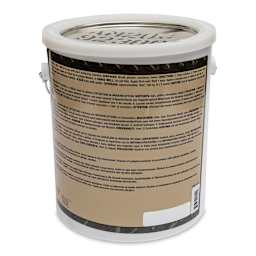 Instant Iron and Instant Rust - Gallon, Instant Iron - angled view