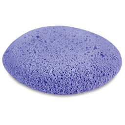 Xiem Studio Pro-Sponges - Top view of Medium Texture Sponge