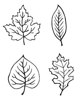 Mayco Press Tools - Drawing showing each pattern in Leaf Designs Set
