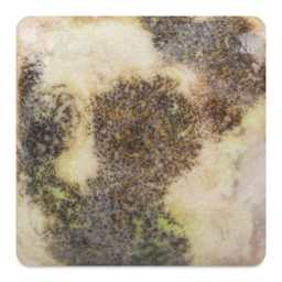 Mayco Jungle Gems Crystal Glaze - Jazz Notes, Cone 10 reduction