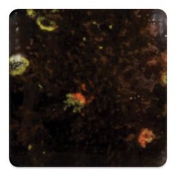 Mayco Jungle Gems Crystal Glaze - Masquerade, Cone 6 oxidation