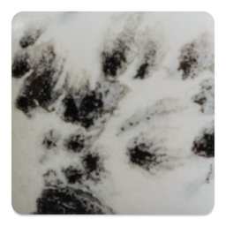 Mayco Jungle Gems Crystal Glaze - Ink Spots, Cone 6 oxidation