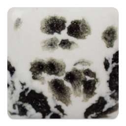 Mayco Jungle Gems Crystal Glaze - Ink Spots, Cone 10 reduction