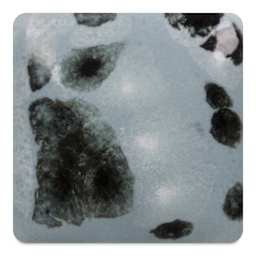 Mayco Jungle Gems Crystal Glaze - Asteroid, Cone 10 reduction