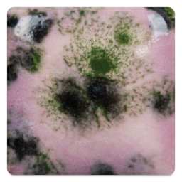 Mayco Jungle Gems Crystal Glaze - Maroon Lagoon, Cone 6 oxidation