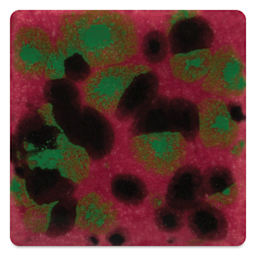 Mayco Jungle Gems Crystal Glaze - Maroon Lagoon, Cone 06 oxidation