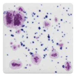 Mayco Jungle Gems Crystal Glaze - Frosted Berries, Cone 06 oxidation