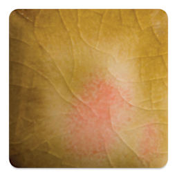 Mayco Jungle Gems Crystal Glaze - Dragon's Breath, Cone 6 oxidation