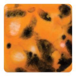 Mayco Jungle Gems Crystal Glaze - Papaya, Cone 6 oxidation