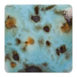 Mayco Jungle Gems Crystal Glaze - Blue Guppy, Cone 10 reduction