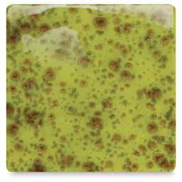 Mayco Jungle Gems Crystal Glaze - Pistachio, Cone 06 oxidation