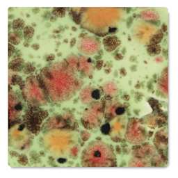 Mayco Jungle Gems Crystal Glaze - Mixed Melon, Cone 06 oxidation