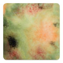 Mayco Jungle Gems Crystal Glaze - Mixed Melon, Cone 6 oxidation