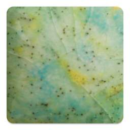Mayco Jungle Gems Crystal Glaze - Meadow, Cone 6 oxidation