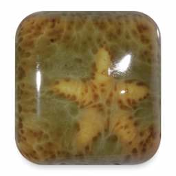 Laguna Moroccan Fusion Rainforest Glaze - Tree Frog, 16 oz