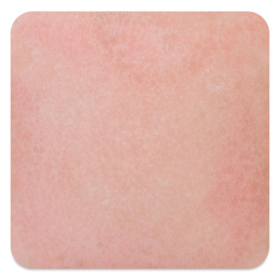 Mayco Speckled Stroke & Coat Glaze - Speckled Pink-A-Boo, fired at cone 10 reduction