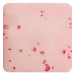 Mayco Speckled Stroke & Coat Glaze - Speckled Pink-A-Boo, fired at cone 6 oxidation