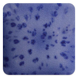Mayco Speckled Stroke & Coat Glaze - Speckled Purple Haze, fired at cone 6 oxidation