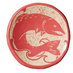 Amaco Lead-Free Velvet Underglaze - Salmon applied to clay surface