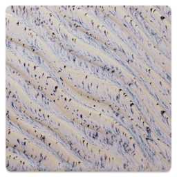 Amaco Potter's Choice Flux Glaze - Aurora Breeze