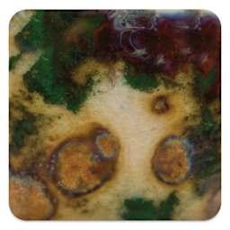 Mayco Crystalite Glaze - Herb Garden, Cone 10 reduction