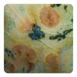 Mayco Crystalite Glaze - Herb Garden, Cone 6 oxidation