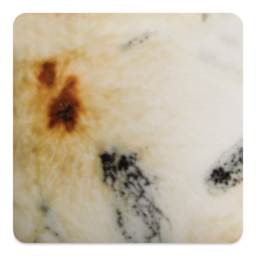 Mayco Crystalite Glaze - Cheetah, Cone 6 oxidation