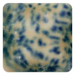 Mayco Crystalite Glaze - Cosmic Black, Cone 10 reduction