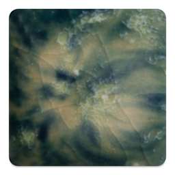 Mayco Crystalite Glaze - Cosmic Black, Cone 6 oxidation