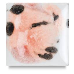 Mayco Crystalite Glaze - Poppy Fields, fired at Cone 06 oxidation