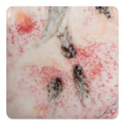 Mayco Crystalite Glaze - Poppy Fields, fired at Cone 6 oxidation