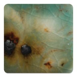 Mayco Jungle Gems Crystal Glaze - Lotus Blossom, Cone 6 oxidation