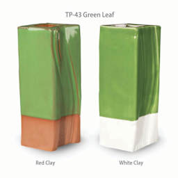 Amaco Teacher's Palette Glaze - Pint, Green Leaf clay comparison