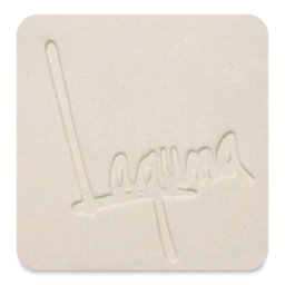 Laguna B-Mix 10 Stoneware Clay WC379 fired to cone 10 in oxidation