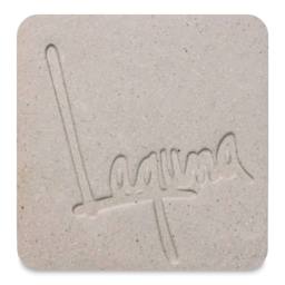 Laguna B-Mix 10 Stoneware Clay WC379 fired to Cone 10 in reduction