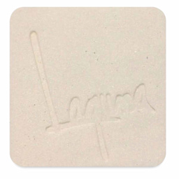 Laguna B-Mix 10 Clay with Grog WC893 fired to oxidation