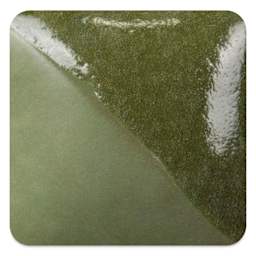 Mayco Fundamentals Underglaze - Leaf Green - fired at cone 10 reduction