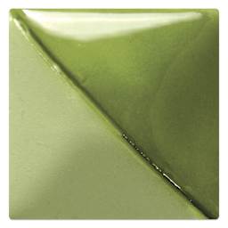 Mayco Fundamentals Underglaze - Spring Green - fired at cone 06 oxidation