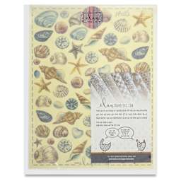 Elan Transfers Overglaze Decal Sheet - Shells - front of packaging