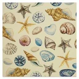 Elan Transfers Overglaze Decal Sheet - Shells - close-up