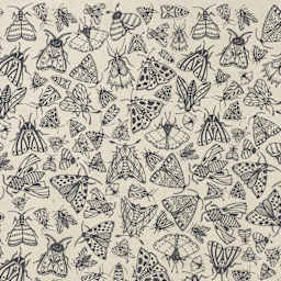 Elan Transfers Underglaze Transfer Sheet - Moths, Black - close-up