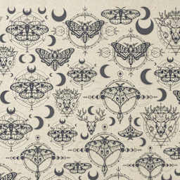 Elan Transfers Underglaze Transfer Sheet - Alchemy, Black - close-up